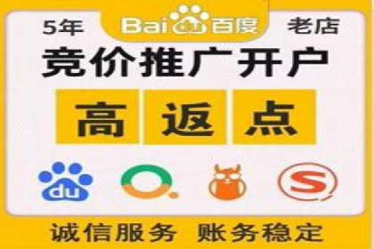 百度优化推广案例：从零开始打造爆款